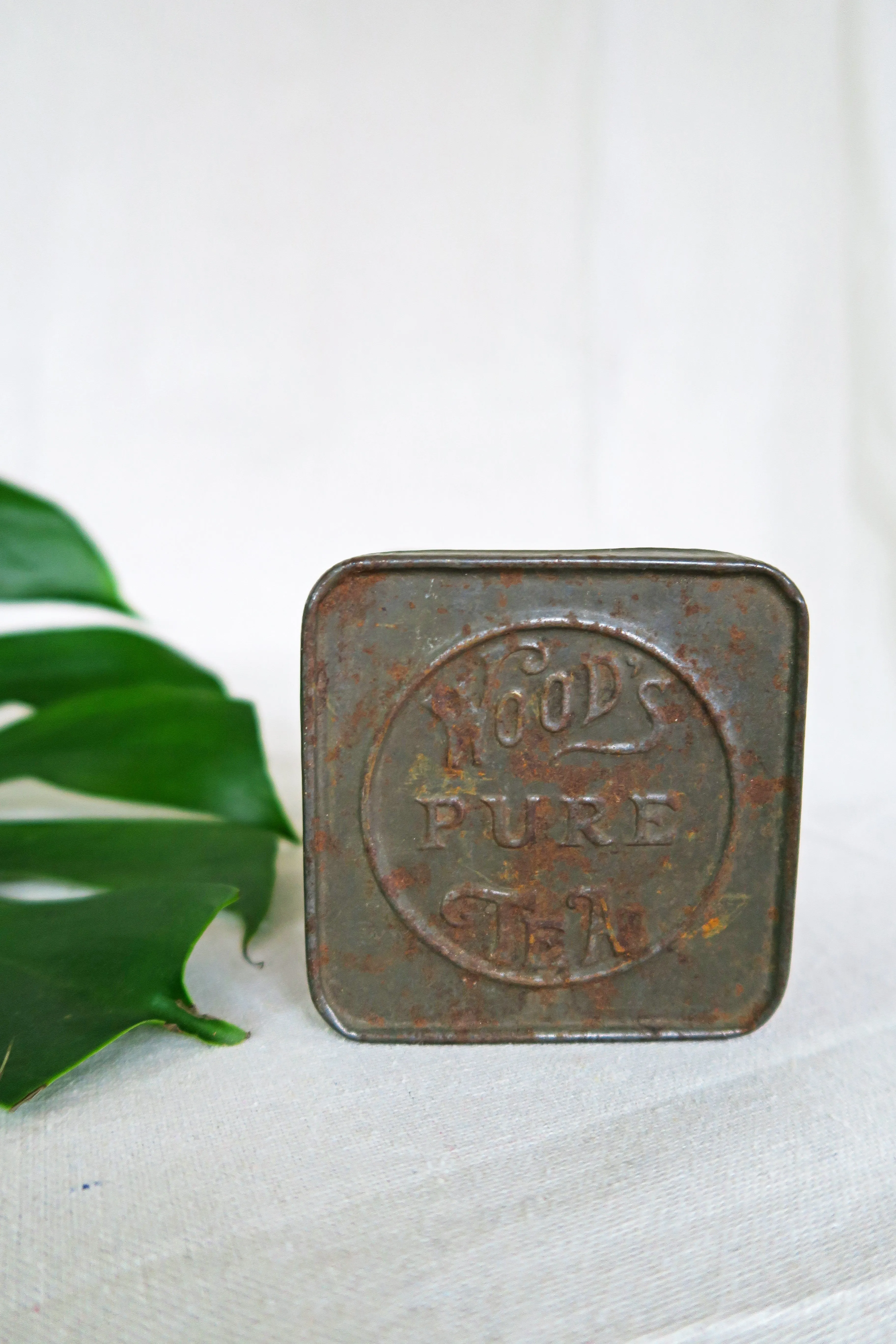 Antique Wood's Tea Tin with Loose Sage