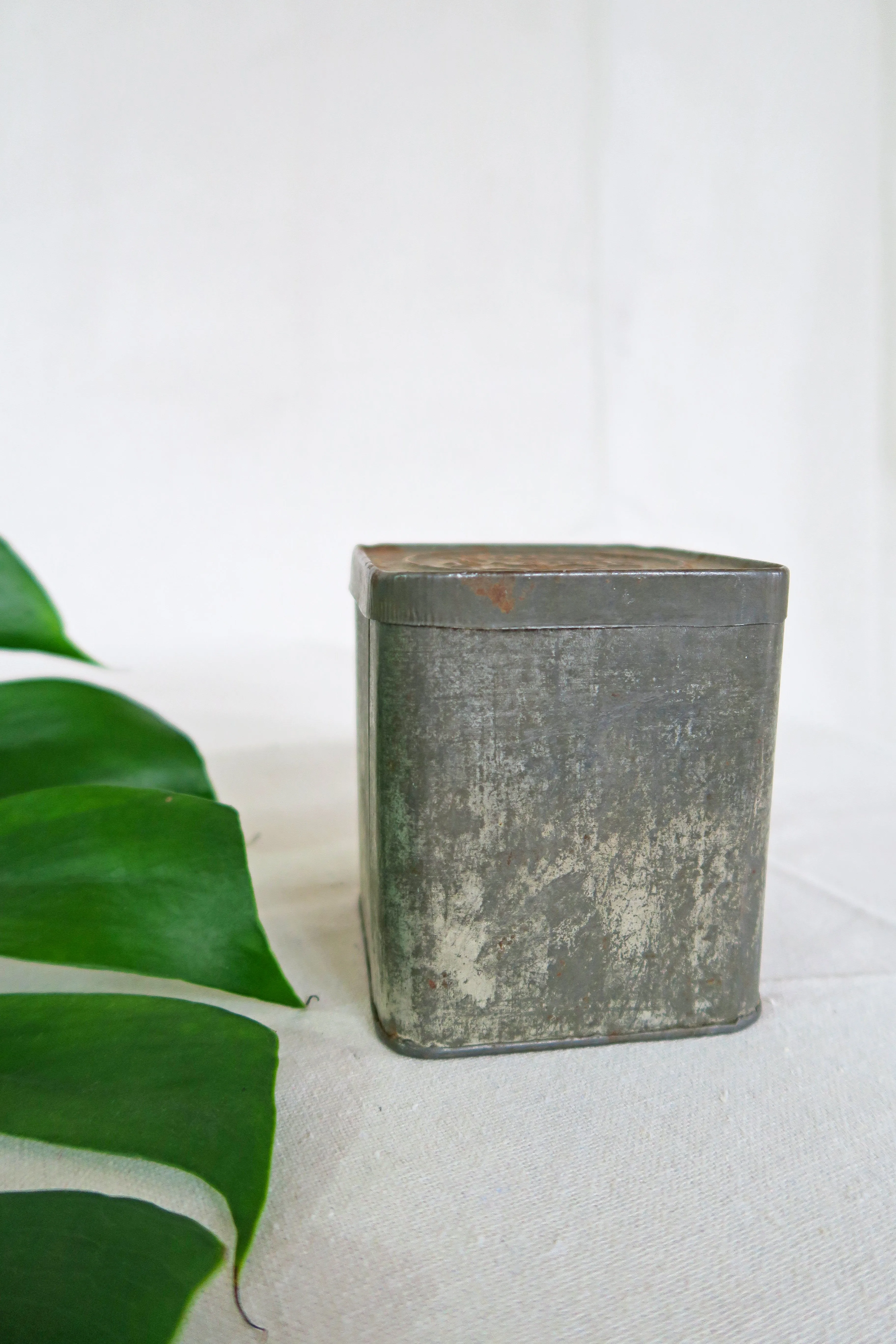 Antique Wood's Tea Tin with Loose Sage